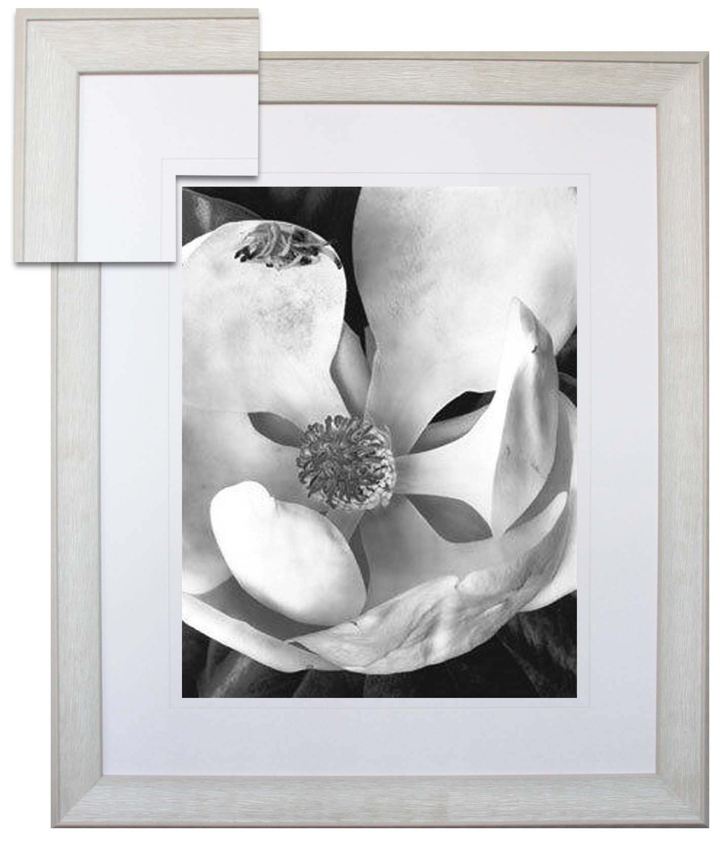 FP201 Wall décor art framed print floral light grey frame
